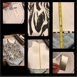 Chico’s zebra tank